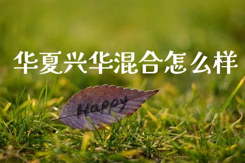 华夏兴华混合怎么样_https://wap.lcpcjs.com_美股行情_第1张