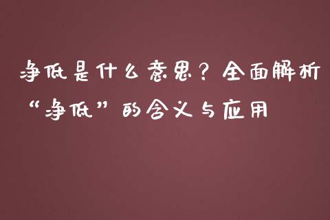 净低是什么意思？全面解析“净低”的含义与应用_https://wap.lcpcjs.com_股港行情_第1张