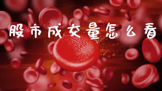 股市成交量怎么看_https://wap.lcpcjs.com_全球经济_第1张