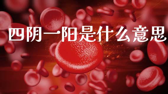 四阴一阳是什么意思_https://wap.lcpcjs.com_全球经济_第1张