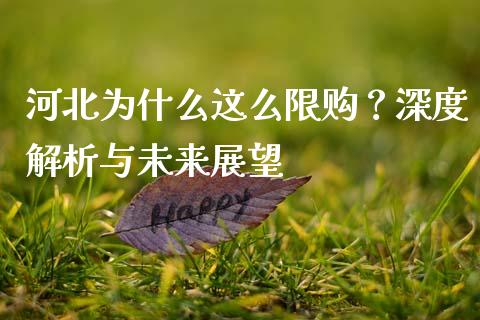 河北为什么这么限购？深度解析与未来展望_https://wap.lcpcjs.com_美股行情_第1张