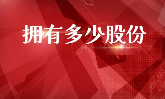 拥有多少股份_https://wap.lcpcjs.com_外汇市场_第1张