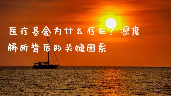 医疗基金为什么存在？深度解析背后的关键因素_https://wap.lcpcjs.com_股港行情_第1张