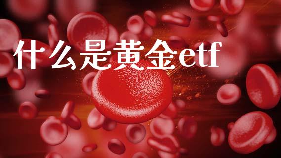 什么是黄金etf_https://wap.lcpcjs.com_外汇市场_第1张