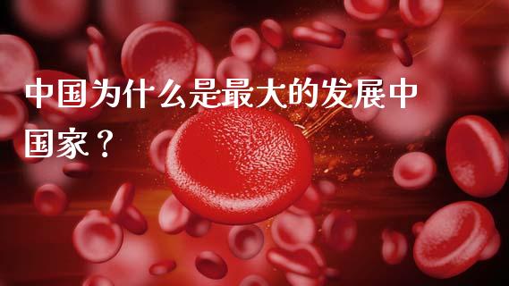 中国为什么是最大的发展中国家？_https://wap.lcpcjs.com_全球经济_第1张