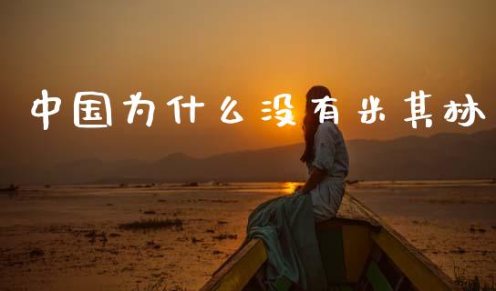 中国为什么没有米其林_https://wap.lcpcjs.com_全球经济_第1张
