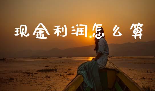 现金利润怎么算_https://wap.lcpcjs.com_股港行情_第1张
