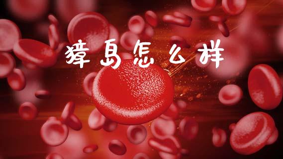 獐岛怎么样_https://wap.lcpcjs.com_美股行情_第1张