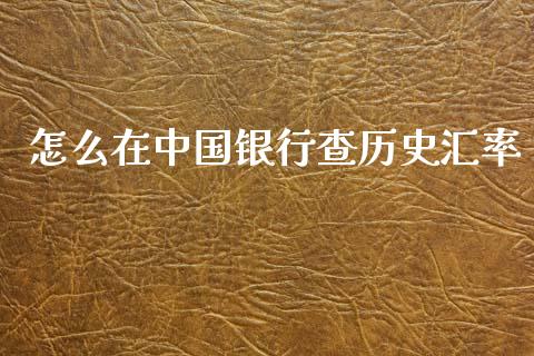 怎么在中国银行查历史汇率_https://wap.lcpcjs.com_股港行情_第1张