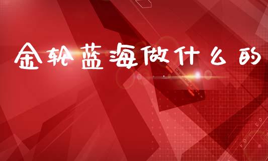 金轮蓝海做什么的_https://wap.lcpcjs.com_全球经济_第1张