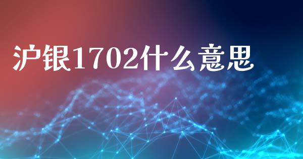 沪银1702什么意思_https://wap.lcpcjs.com_外汇市场_第1张