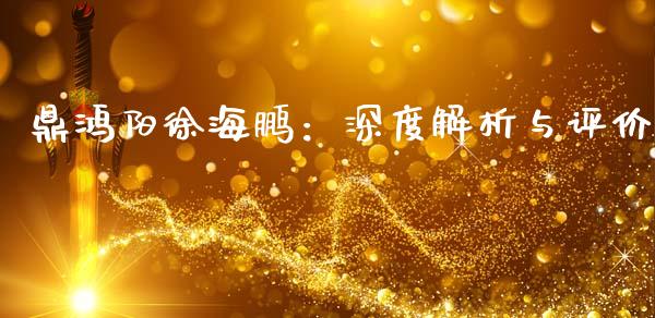鼎鸿阳徐海鹏：深度解析与评价_https://wap.lcpcjs.com_美股行情_第1张