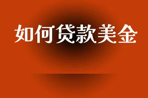 如何贷款美金_https://wap.lcpcjs.com_美股行情_第1张
