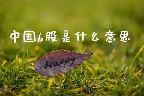 中国b股是什么意思_https://wap.lcpcjs.com_全球经济_第1张
