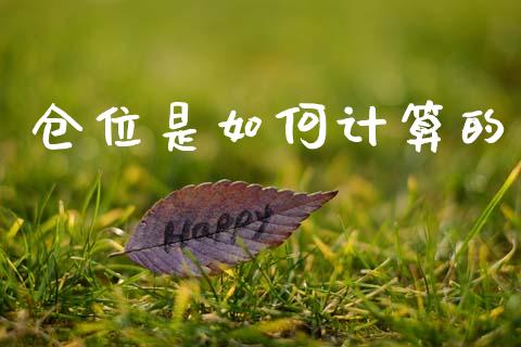 仓位是如何计算的_https://wap.lcpcjs.com_外汇市场_第1张