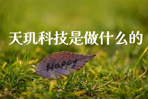 天玑科技是做什么的_https://wap.lcpcjs.com_外汇市场_第1张