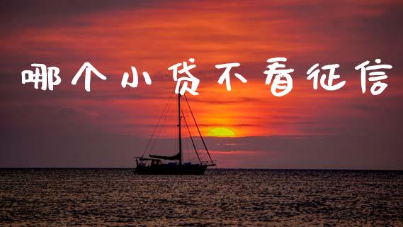 哪个小贷不看征信_https://wap.lcpcjs.com_美股行情_第1张
