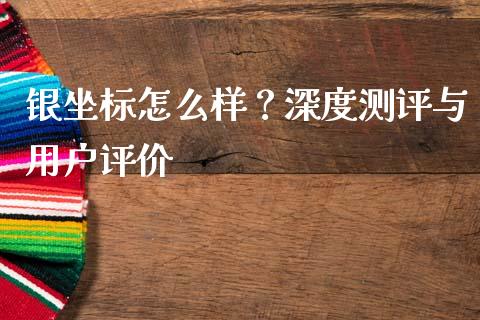 银坐标怎么样？深度测评与用户评价_https://wap.lcpcjs.com_外汇市场_第1张