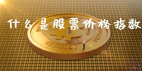 什么是股票价格指数_https://wap.lcpcjs.com_美股行情_第1张
