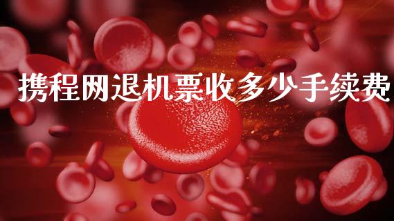 携程网退机票收多少手续费_https://wap.lcpcjs.com_全球经济_第1张