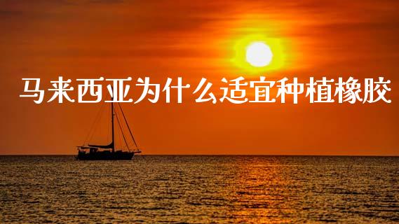 马来西亚为什么适宜种植橡胶_https://wap.lcpcjs.com_股港行情_第1张