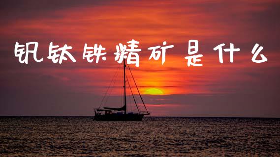 钒钛铁精矿是什么_https://wap.lcpcjs.com_全球经济_第1张