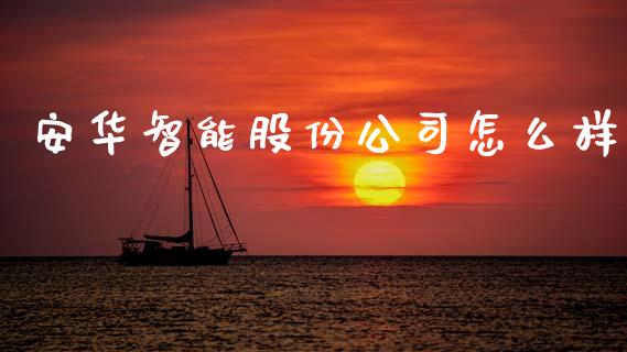 安华智能股份公司怎么样_https://wap.lcpcjs.com_全球经济_第1张