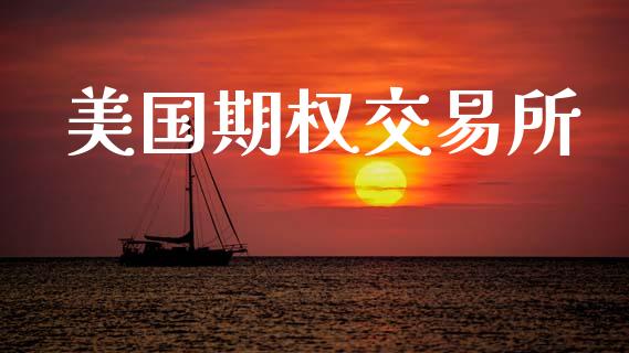 美国期权交易所_https://wap.lcpcjs.com_全球经济_第1张