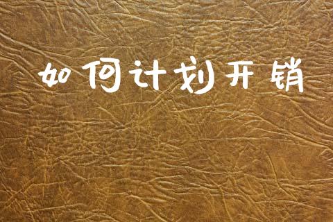 如何计划开销_https://wap.lcpcjs.com_股港行情_第1张