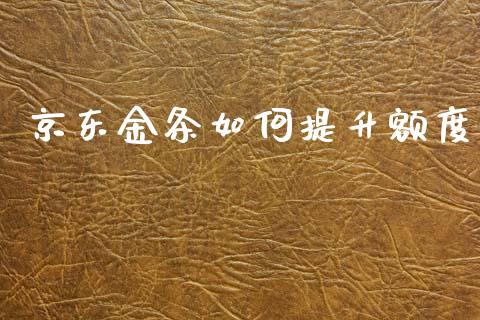 京东金条如何提升额度_https://wap.lcpcjs.com_美股行情_第1张