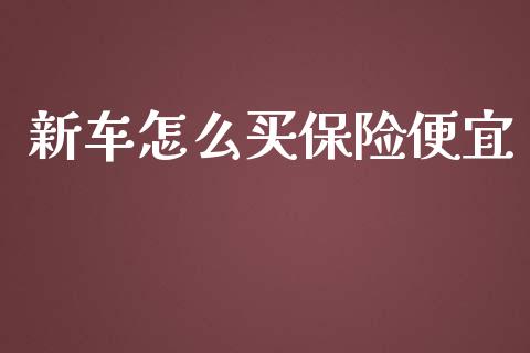 新车怎么买保险便宜_https://wap.lcpcjs.com_全球经济_第1张
