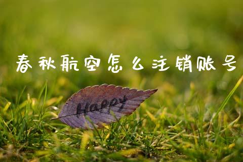 春秋航空怎么注销账号_https://wap.lcpcjs.com_美股行情_第1张