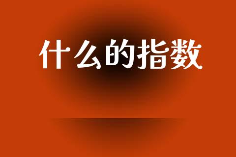 什么的指数_https://wap.lcpcjs.com_美股行情_第1张
