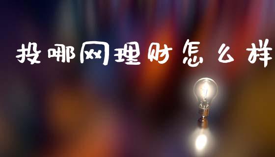 投哪网理财怎么样_https://wap.lcpcjs.com_全球经济_第1张