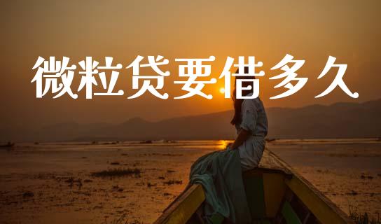 微粒贷要借多久_https://wap.lcpcjs.com_股港行情_第1张