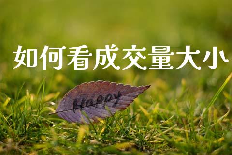 如何看成交量大小_https://wap.lcpcjs.com_全球经济_第1张
