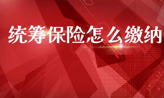 统筹保险怎么缴纳_https://wap.lcpcjs.com_美股行情_第1张