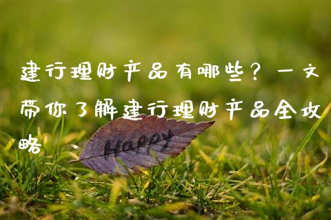 建行理财产品有哪些？一文带你了解建行理财产品全攻略_https://wap.lcpcjs.com_外汇市场_第1张