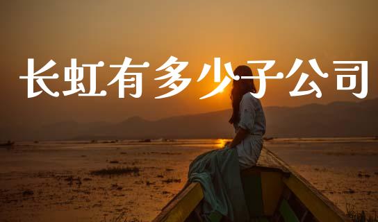 长虹有多少子公司_https://wap.lcpcjs.com_外汇市场_第1张