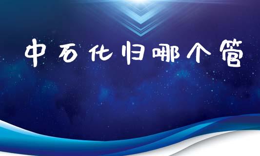 中石化归哪个管_https://wap.lcpcjs.com_美股行情_第1张