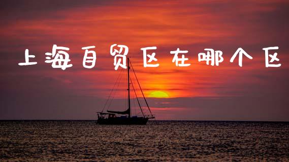 上海自贸区在哪个区_https://wap.lcpcjs.com_美股行情_第1张
