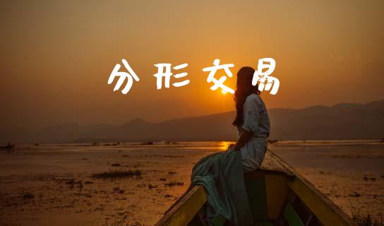 分形交易_https://wap.lcpcjs.com_外汇市场_第1张