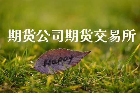 期货公司期货交易所_https://wap.lcpcjs.com_全球经济_第1张