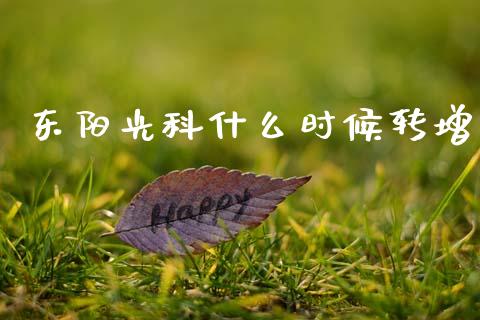 东阳光科什么时候转增_https://wap.lcpcjs.com_美股行情_第1张