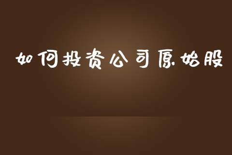 如何投资公司原始股_https://wap.lcpcjs.com_外汇市场_第1张
