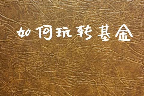 如何玩转基金_https://wap.lcpcjs.com_股港行情_第1张