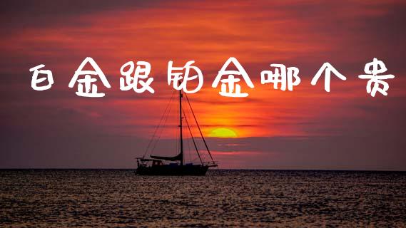 白金跟铂金哪个贵_https://wap.lcpcjs.com_美股行情_第1张