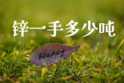 锌一手多少吨_https://wap.lcpcjs.com_股港行情_第1张