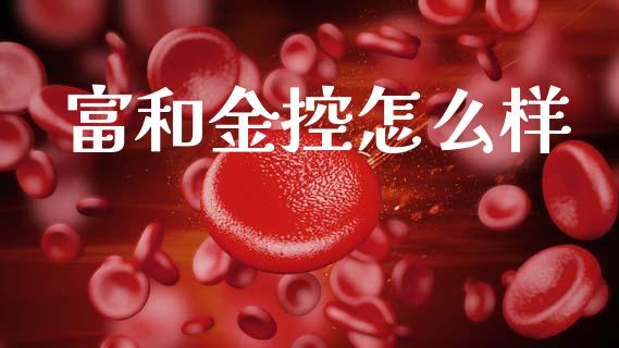 富和金控怎么样_https://wap.lcpcjs.com_股港行情_第1张