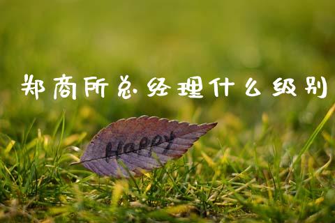 郑商所总经理什么级别_https://wap.lcpcjs.com_股港行情_第1张